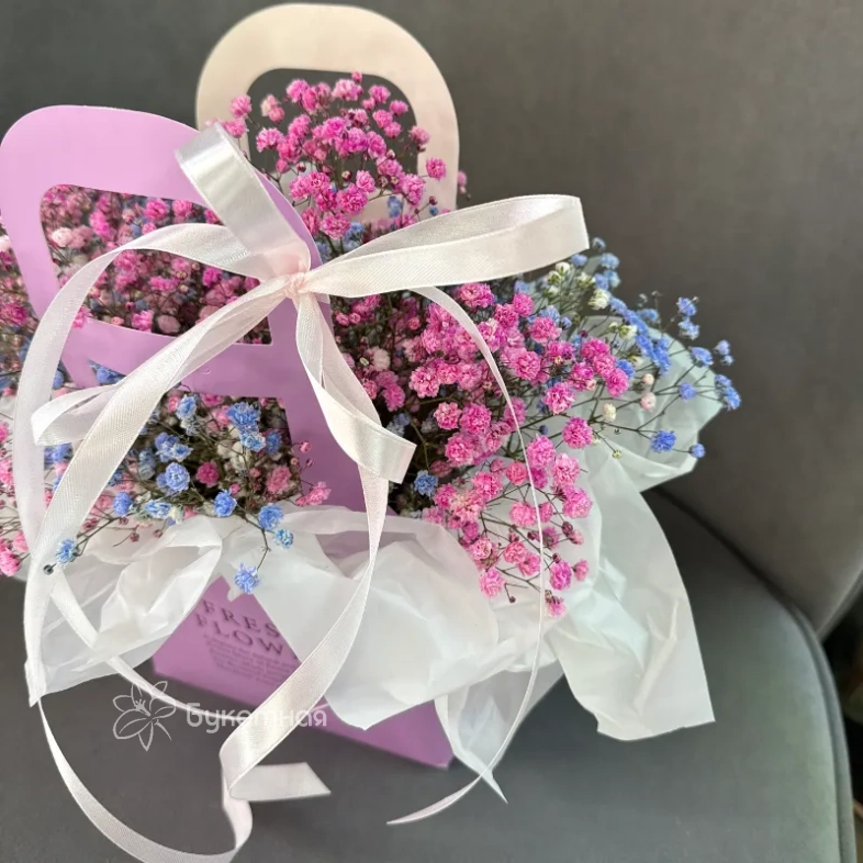 Сумочка &laquo;Гипсофила&raquo;