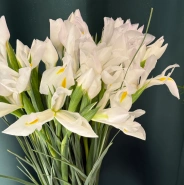 Ирисы &laquo;Касабланка&raquo; 1