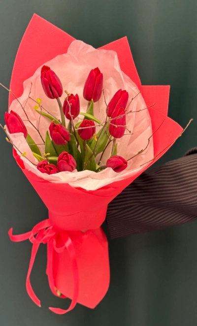 Букет « Красные тюльпаны 11 шт»