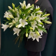 Лилия &laquo;Замбези&raquo; 0