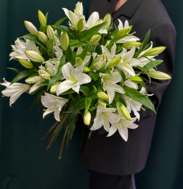 Лилия «Замбези»