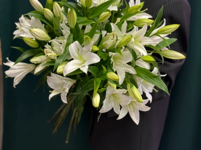 Лилия «Замбези»