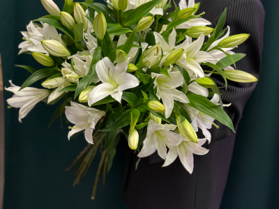 Лилия «Замбези»