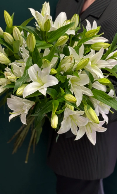 Лилия «Замбези»