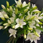 Лилия &laquo;Замбези&raquo; 2