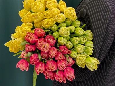 Тюльпан пионовидный