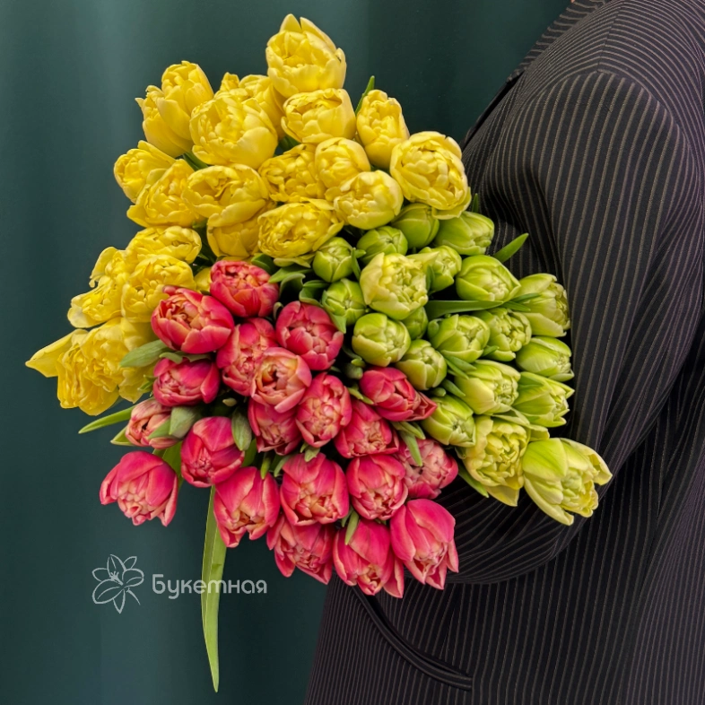 Тюльпан пионовидный