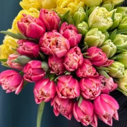 Тюльпан пионовидный 1