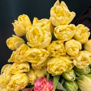 Тюльпан пионовидный 3