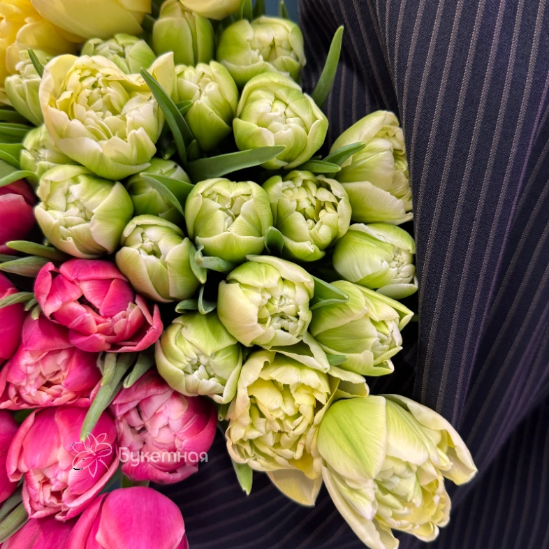 Тюльпан пионовидный