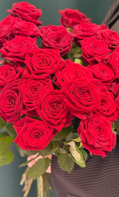 Роза «Красная 60 см»