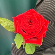 Роза &laquo;Красная 60 см&raquo; 1