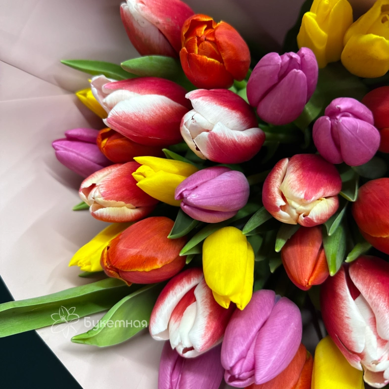 Букет &laquo; Тюльпан 31шт&raquo;