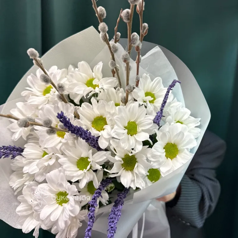 Букет &laquo;Верба и ромашки&raquo;