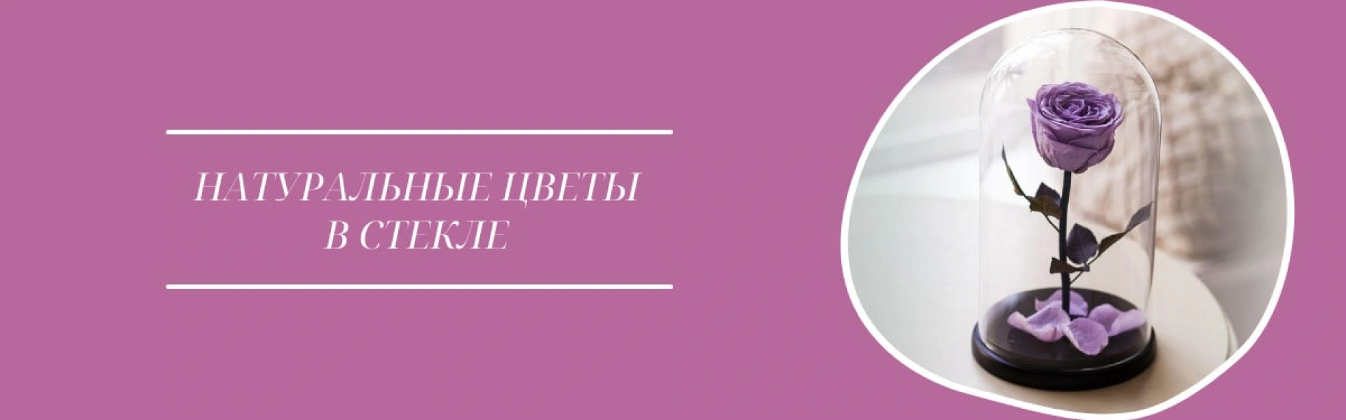 Цветы в стекле